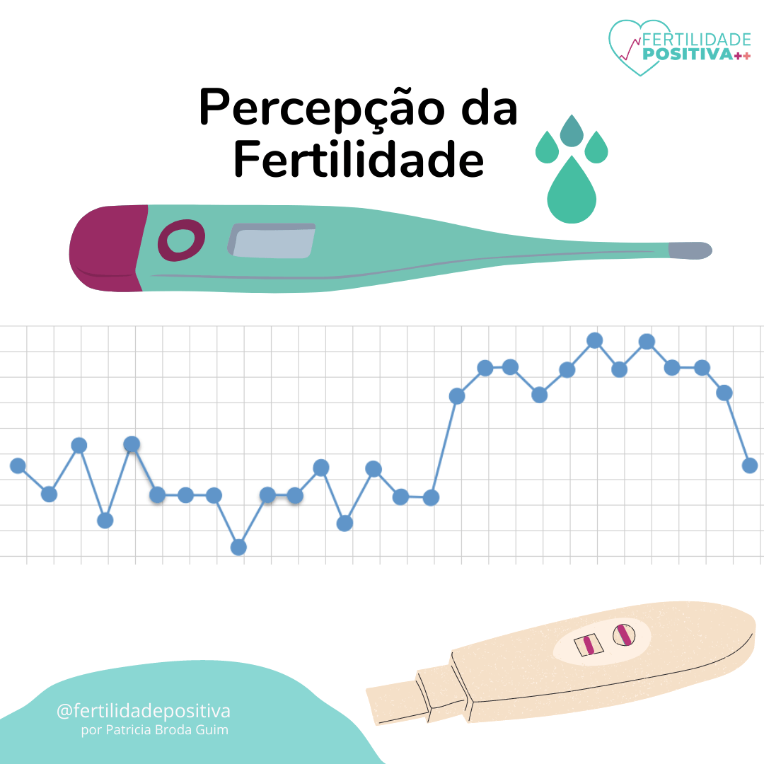 Percepção da Fertilidade. Termômetro basal, muco cervical e teste de ovulação.