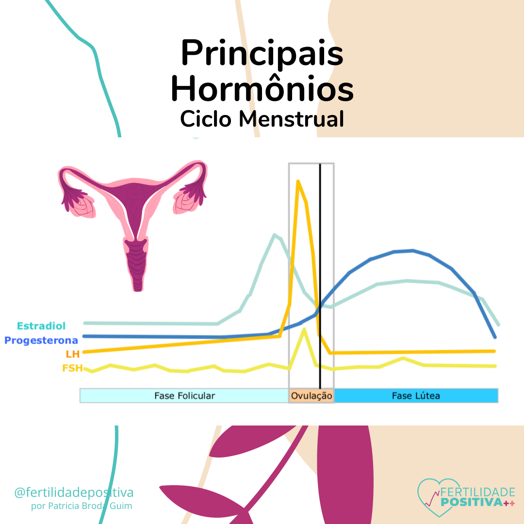 Principais Hormônios do Ciclo Menstrual – Fertilidade Positiva