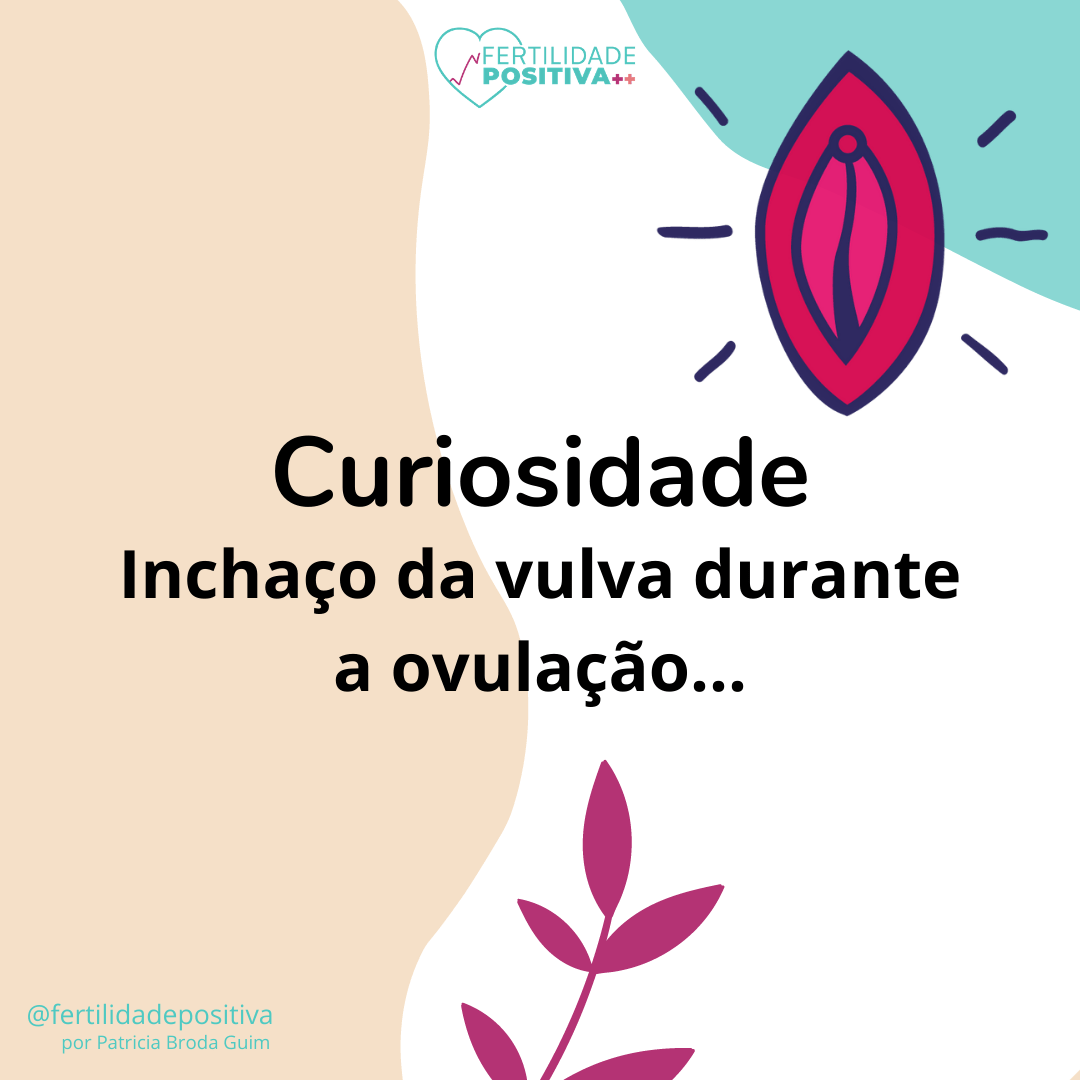 INCHAÇO VULVA