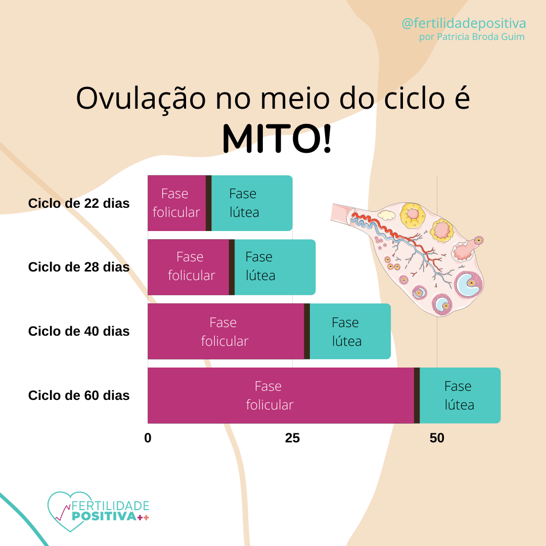 Gráfico comparativo da duração do ciclo menstrual e ovulação.
