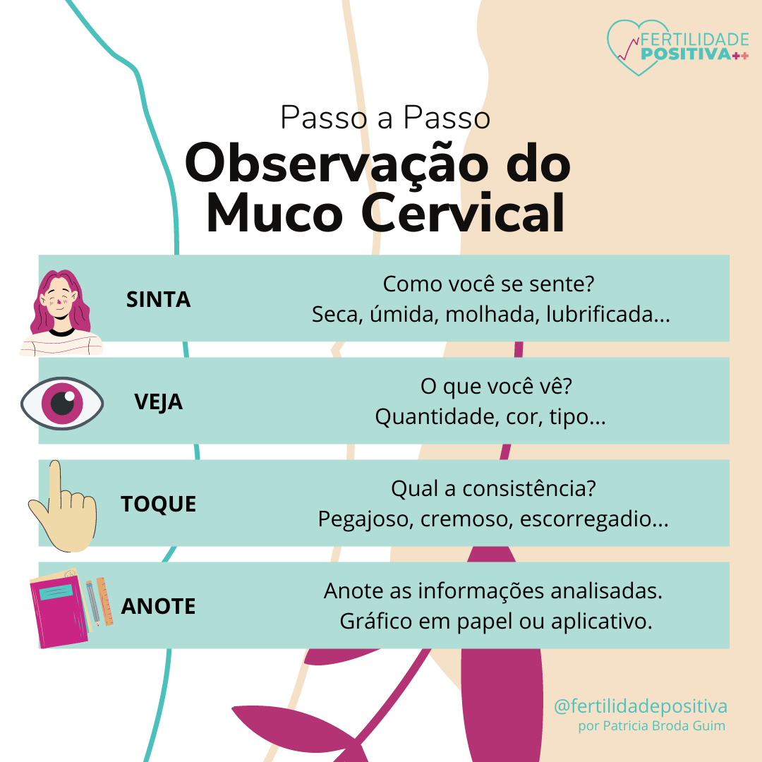 Observação do Muco Cervical