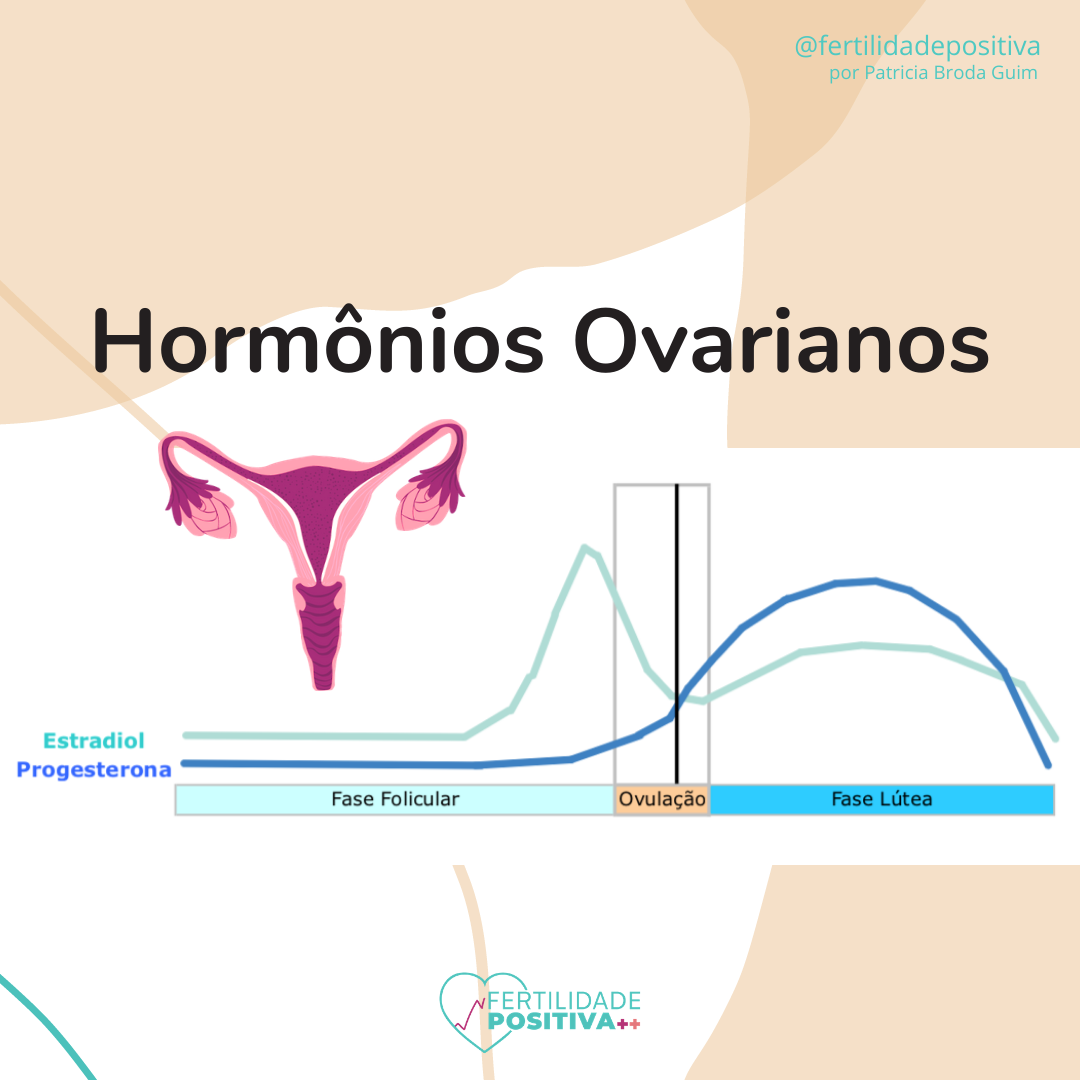 Hormônios ovarianos – Fertilidade Positiva