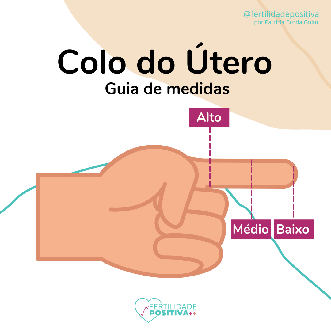 Colo do útero, guia de medidas