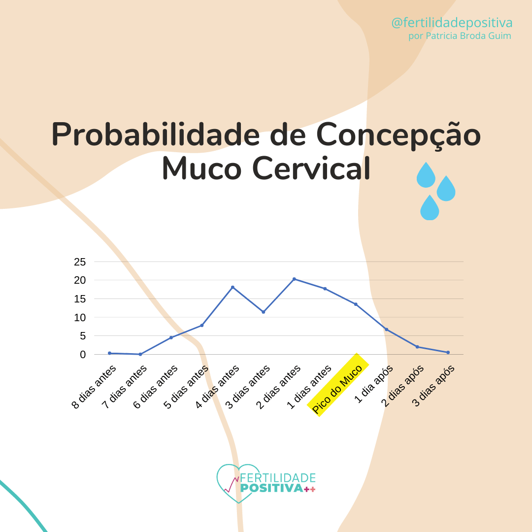 Probabilidade de concepção de acordo com o tipo de Muco Cervical